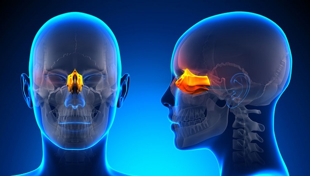 Can a Sinus Infection Cause Eye Problems? Ethmoid Sinus