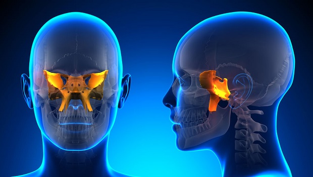 Can a Sinus Infection Cause Eye Problems? Sphenoid Sinus