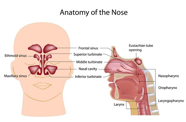 Can a Sinus Infection Cause Eye Problems?