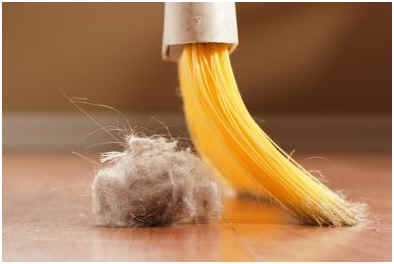 Remove Carpet Glue From Hardwood Floors, Cleaning Carpet Glue From Hardwood Floors