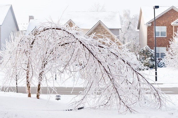 What Are the Forms of Precipitation - Freezing Rain