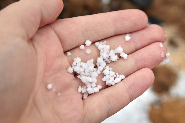 What Are the Forms of Precipitation - Snow Pellets