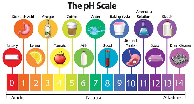 What Is the pH of Vinegar