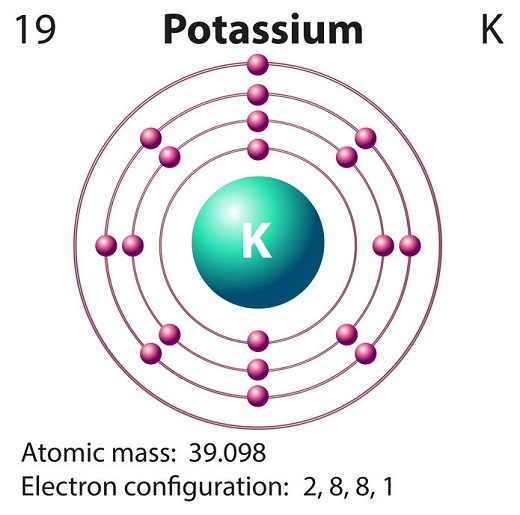 How Many Protons Are in Potassium? | Sophisticated Edge