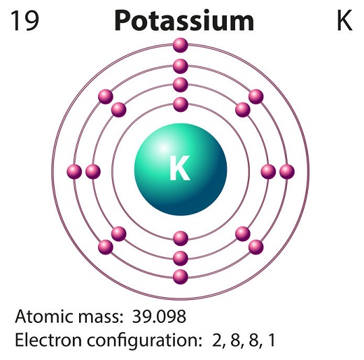 Electron Configuration Orbital Diagram