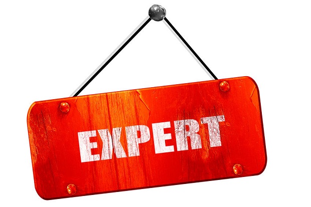 Expert Opinion Logo