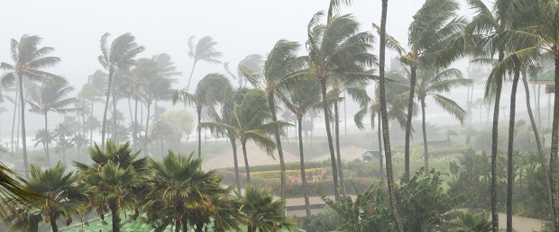 Why Do Hurricanes Weaken Over Land?