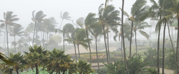 How Do Hurricanes Form - Wind Speed