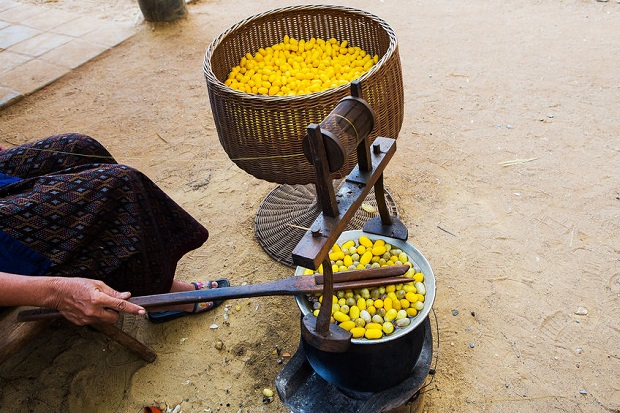 How Silk Fabric Is Made-The Brewing Process