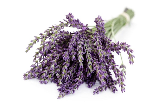 How to Dry Lavender - Steps