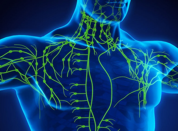 Bee Sting Infection - Lymphatic System