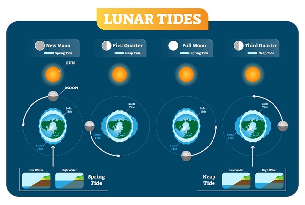 How Do Ocean Currents Work - Spring Tide