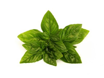 Can You Freeze Basil? You Sure Can! Here’s How