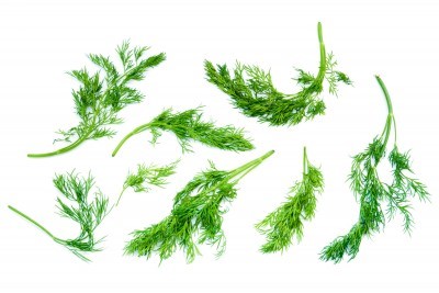 Can You Freeze Dill? The Experts Tell You How