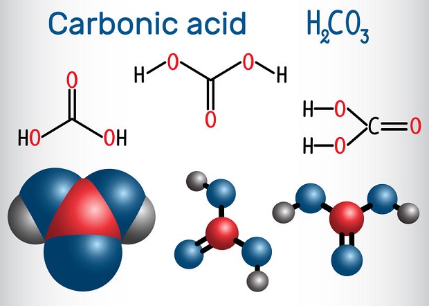 Does Carbon Dioxide Dissolve in Water - Amounts