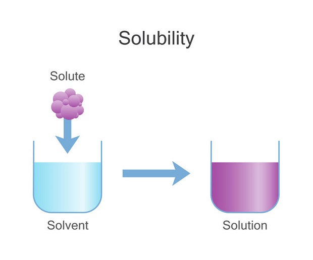 Does Carbon Dioxide Dissolve in Water - solubility