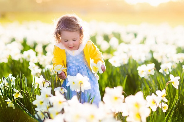 Are Daffodils Poisonous - Keep Away from Children and Pets