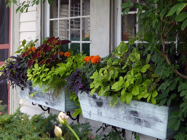 12 Stunning Flower Box Ideas – Photos