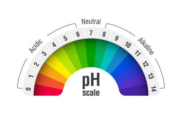 What Is the Optimal Soil pH for Daffodils?