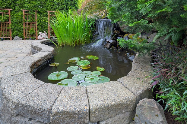Building A Raised Pond Sophisticated Edge, How To Build A Raised Garden Pond