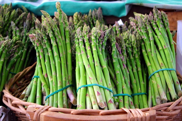 Growing Asparagus – How to Plant a No-Fail 15-Year Producing Bed