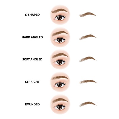 Types of eyebrow shapes vector illustration