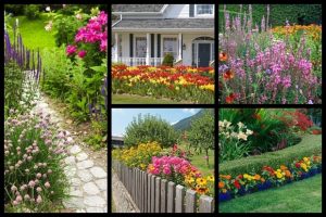 Magical Flower Gardens – Photo Slideshow