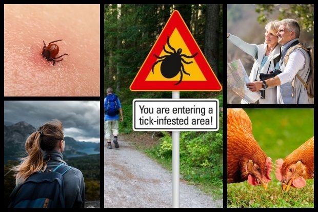 9 ways to prevent tick bites