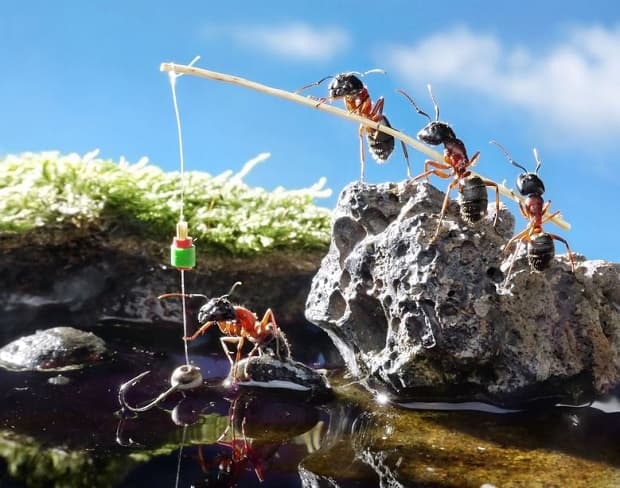 team of ants angling with rod on sunny day